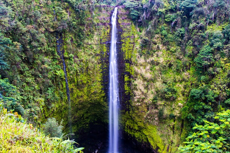 Akaka Falls - things to do on the Big Island of Hawaii