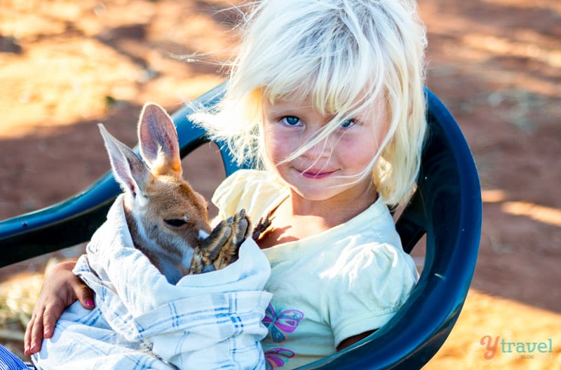 Alice Springs (98) Kangaroo Sanctuary, Alice Springs
