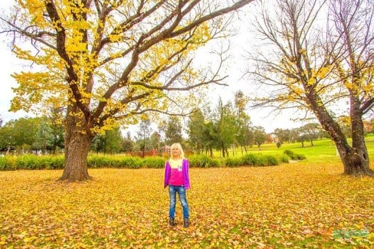 Adventure Playground, Bathurst, NSW