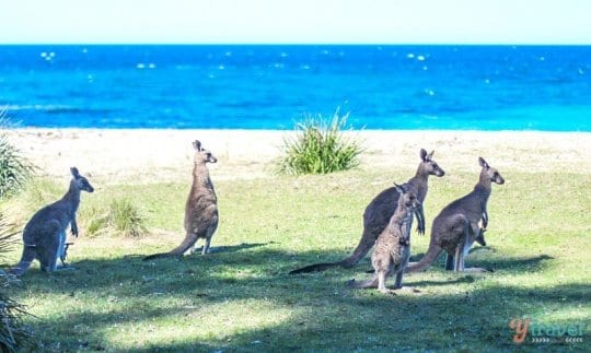 2 weeks in South Coast NSW