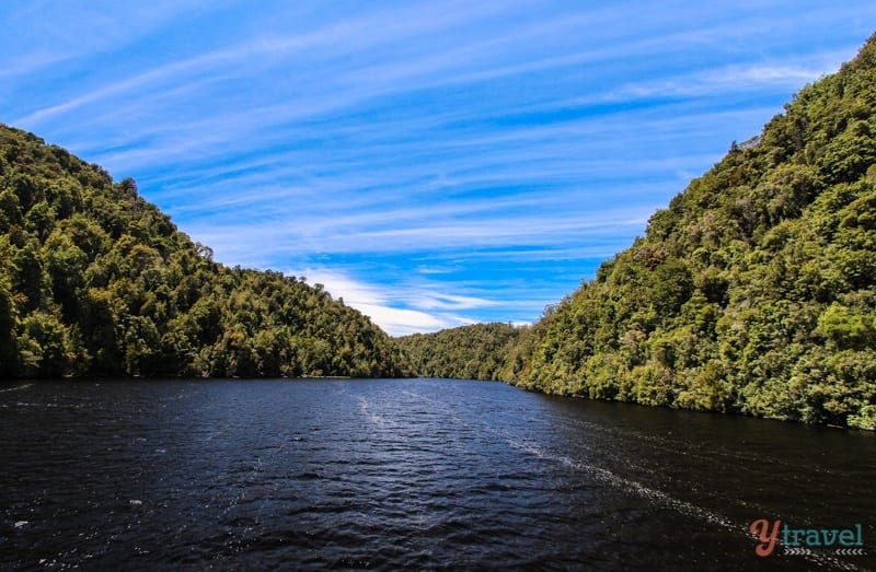 forested hills on banks of Gordon river