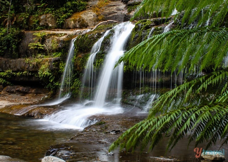 Liffey Falls, Tasmania