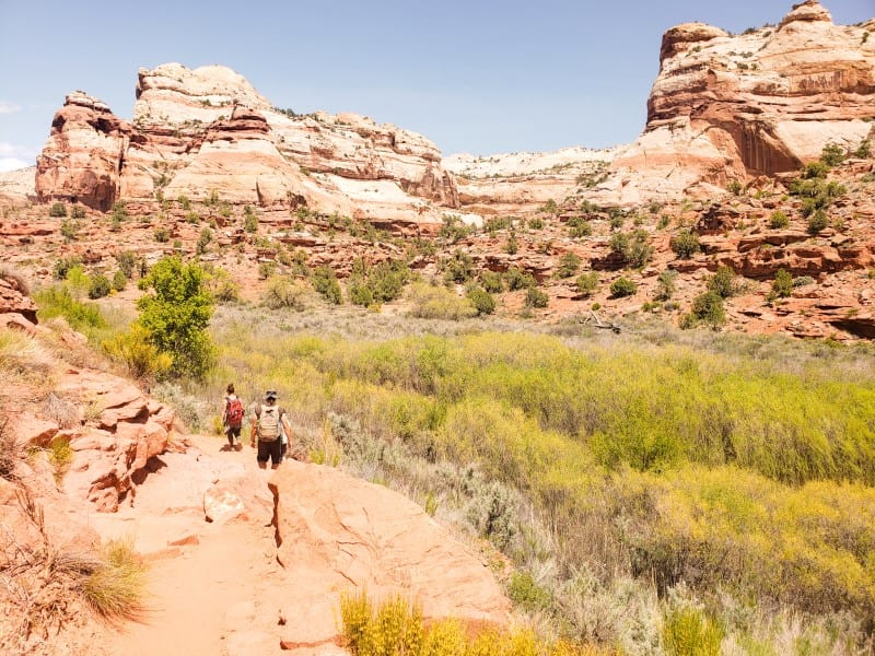 lower calf creek falls grand staircase escalante national monument utah (3)