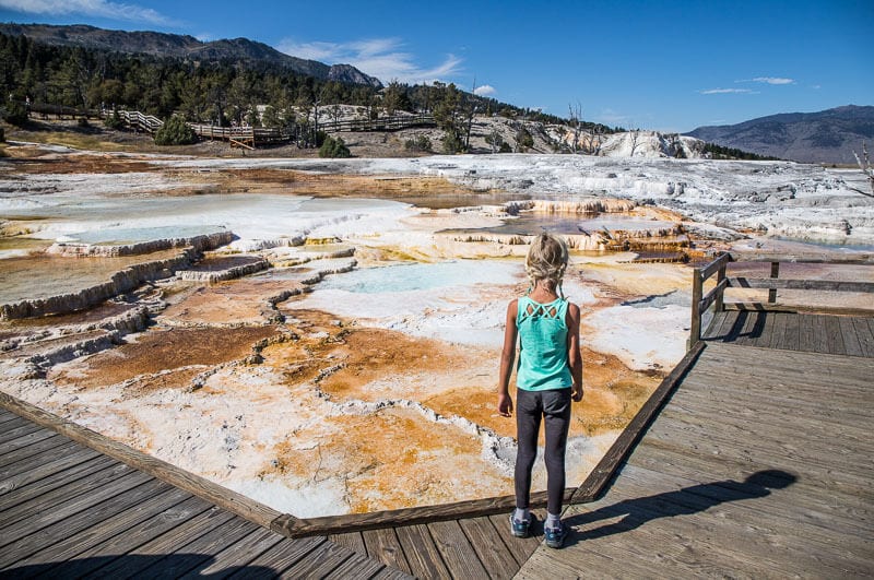 Mammoth Hot Springs, Yellowstone National Park