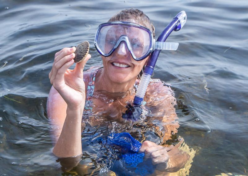 scalloping in Florida steinhatchee