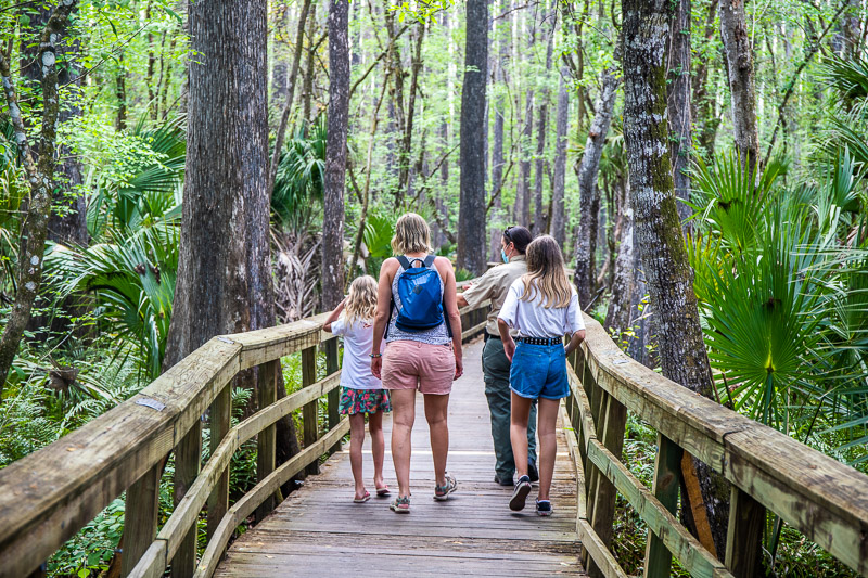 sebring-florida-5-1 Highlands Hammock State Park, one of the best things to do in Sebring, Florida