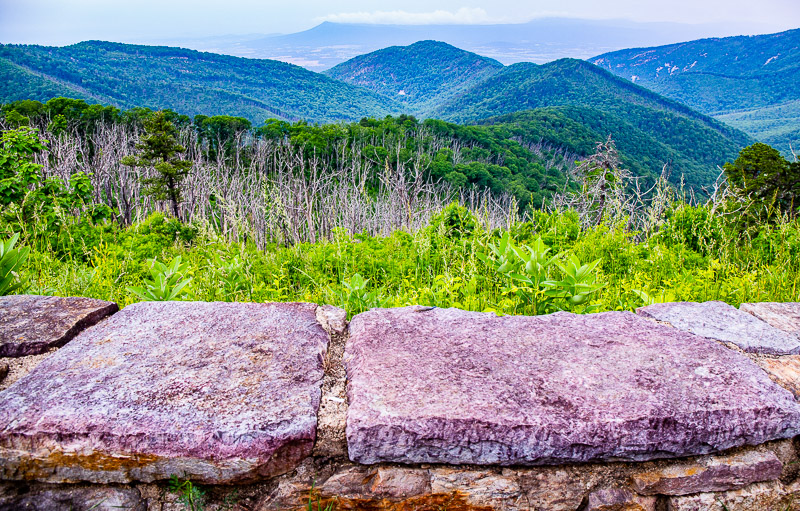 shenandoah-national-park-va-2