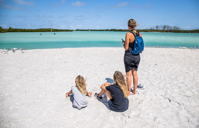 people sitting on the beach