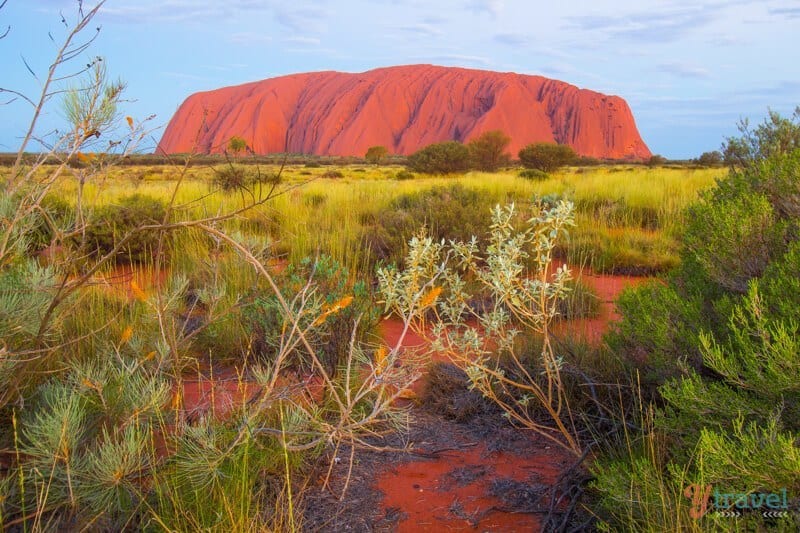 uluru-northern-territory-australia (20) Uluru - one of Australia's natural wonders