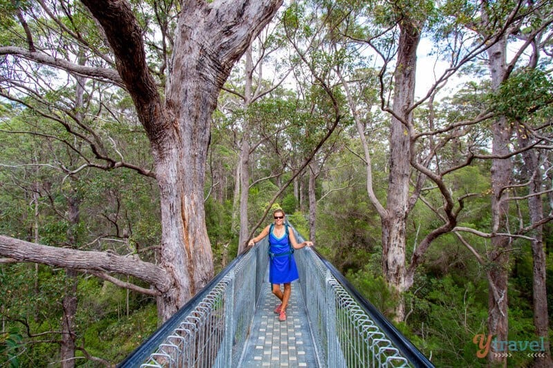 woman on steel platform in valley of the giants